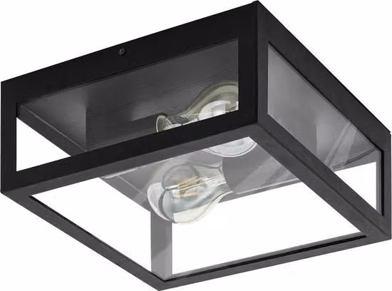 Lampada da soffitto 2 punti di luce industriale vintage acciaio vetro soggiorno-cucina-bagno nero chiaro connettore E27 IP44