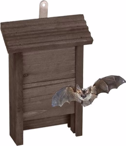 Cassetta per pipistrelli in legno marrone