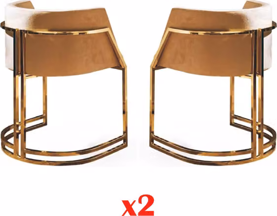 Luxus 2x Stuhl Esszimmerstuhl Küchenstühle Wohnzimmerstuhl Polsterstuhl Lehn