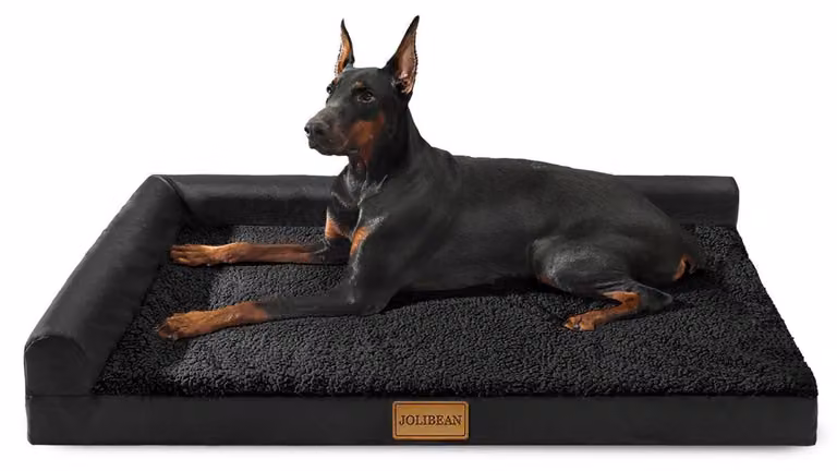 Cuccia ortopedica per cani, dimensioni L, 106x71 cm, colore nero, con bordi in schiuma