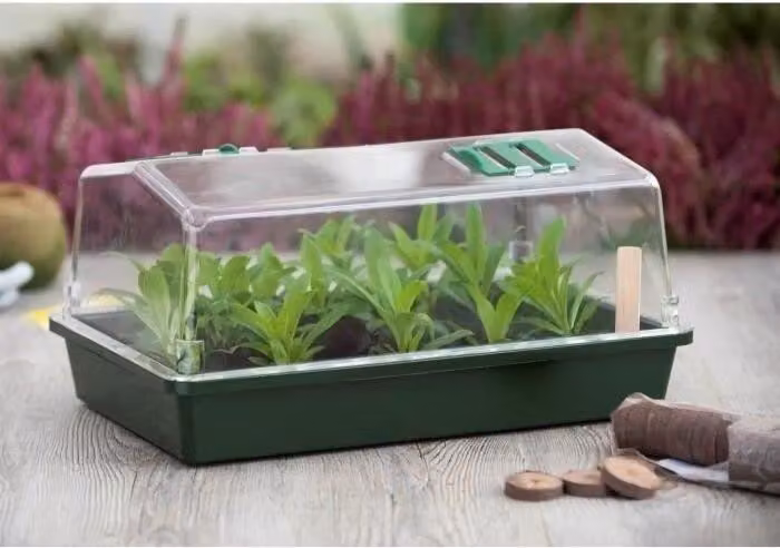 Mini serra, H18x37x24 cm, coperchio ventilato, plastica rigida, per interni ed esterni, verde