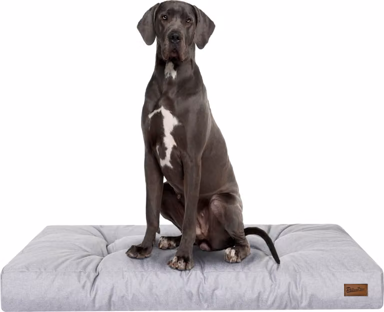 Materasso per cani "Grand Light" - 130x100cm - Cuccia idrorepellente - Rettangolare - Outdoor & Indoor | PillowPrim