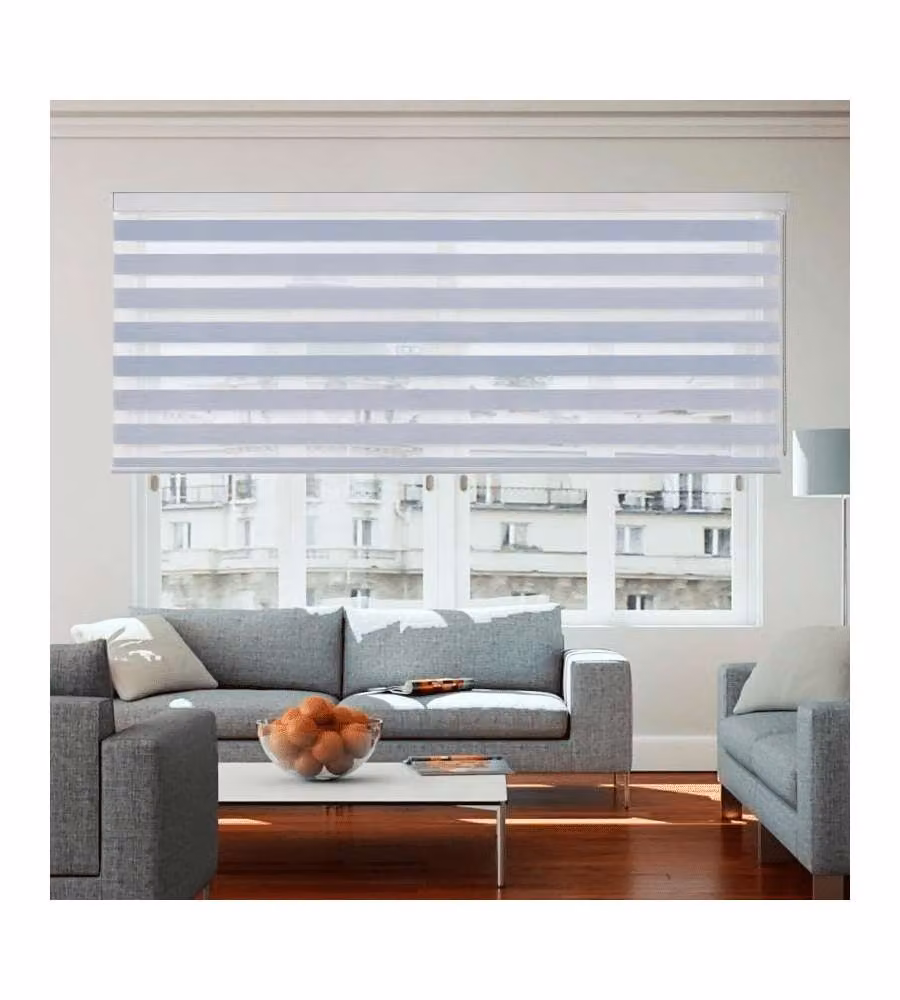 STOR PLANET Tenda a Rullo Giorno e Notte Argento 100x250 cm Premium