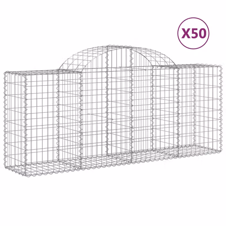 Cesti Gabbioni ad Arco 50 pz 200x50x80/100 cm Ferro Zincato