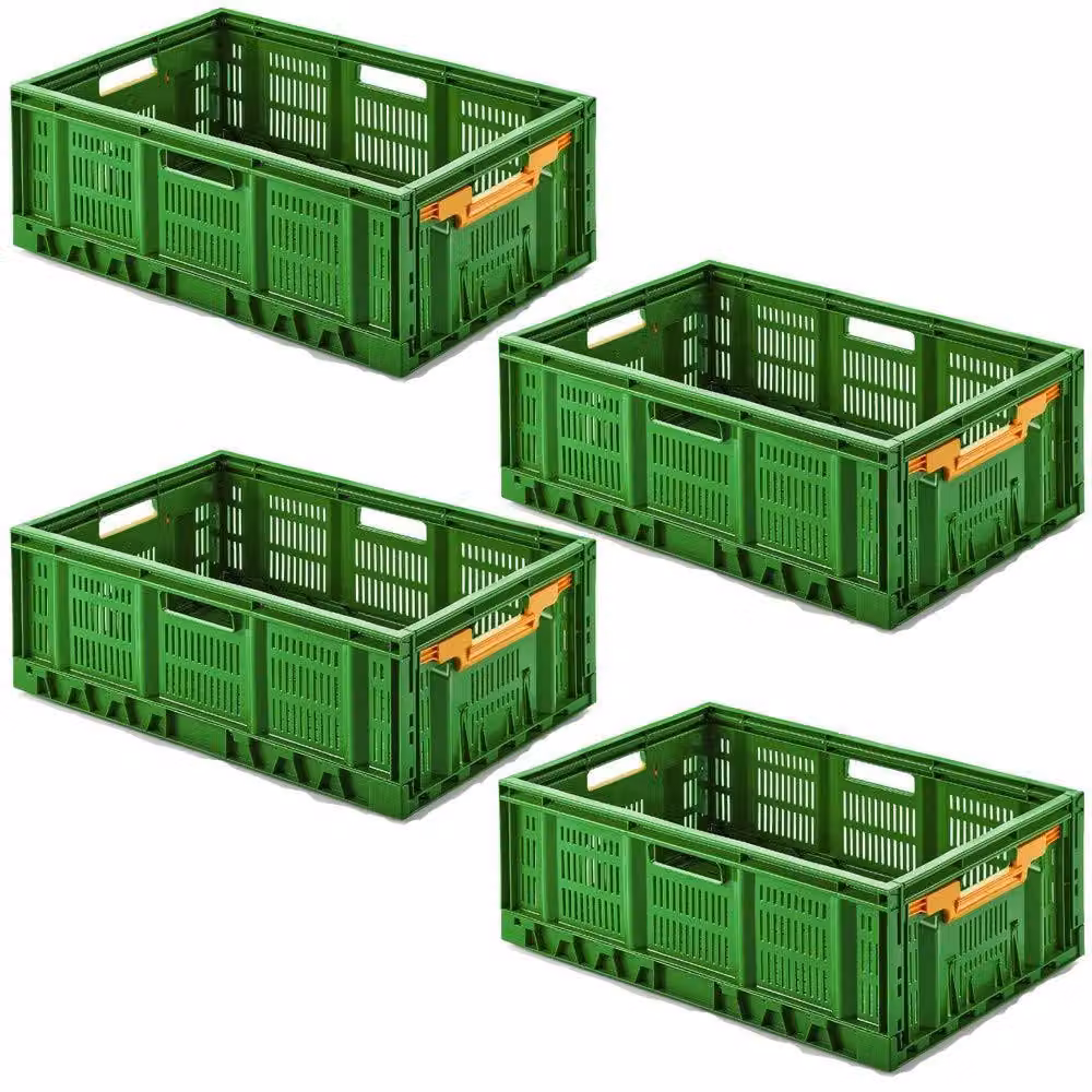 Contenitore pieghevole per verdure, dimensioni 600x400x233 mm