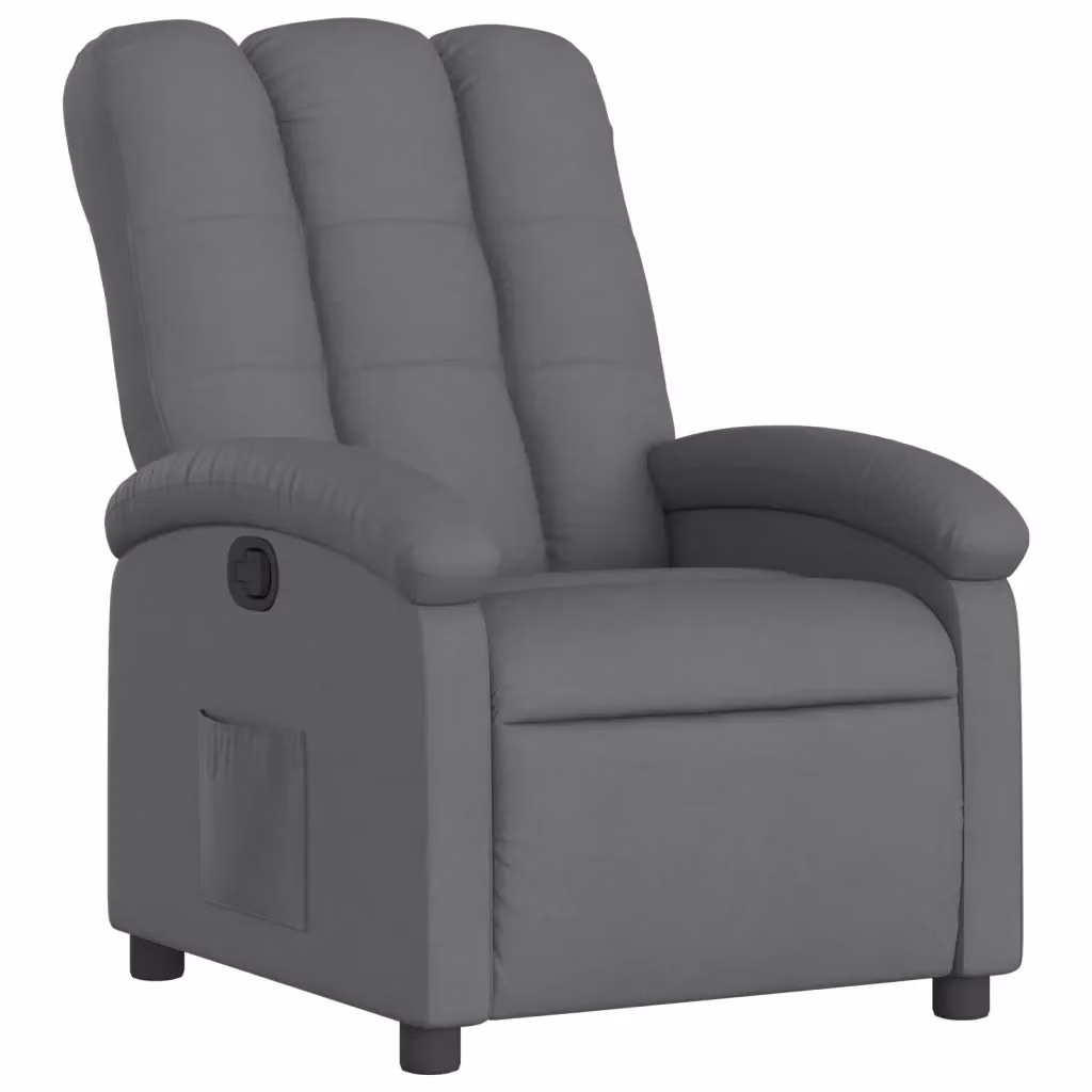 Poltrona reclinabile relax vidaXL in tessuto grigio con braccioli e leva manuale – 2
