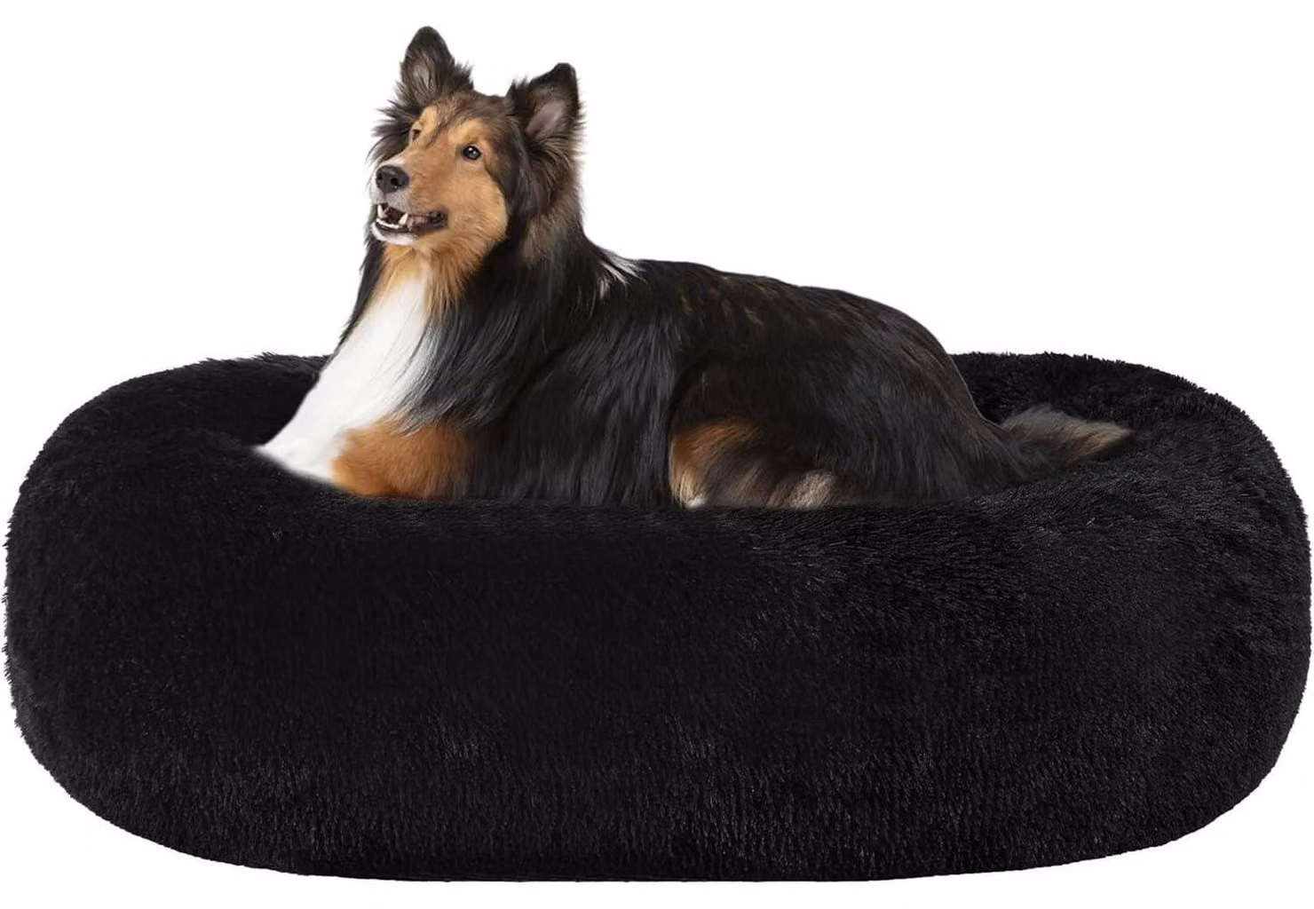 Cuccia ortopedica per cani, forma rotonda, cuscino a forma di ciambella, lavabile, diametro 80 cm, colore nero