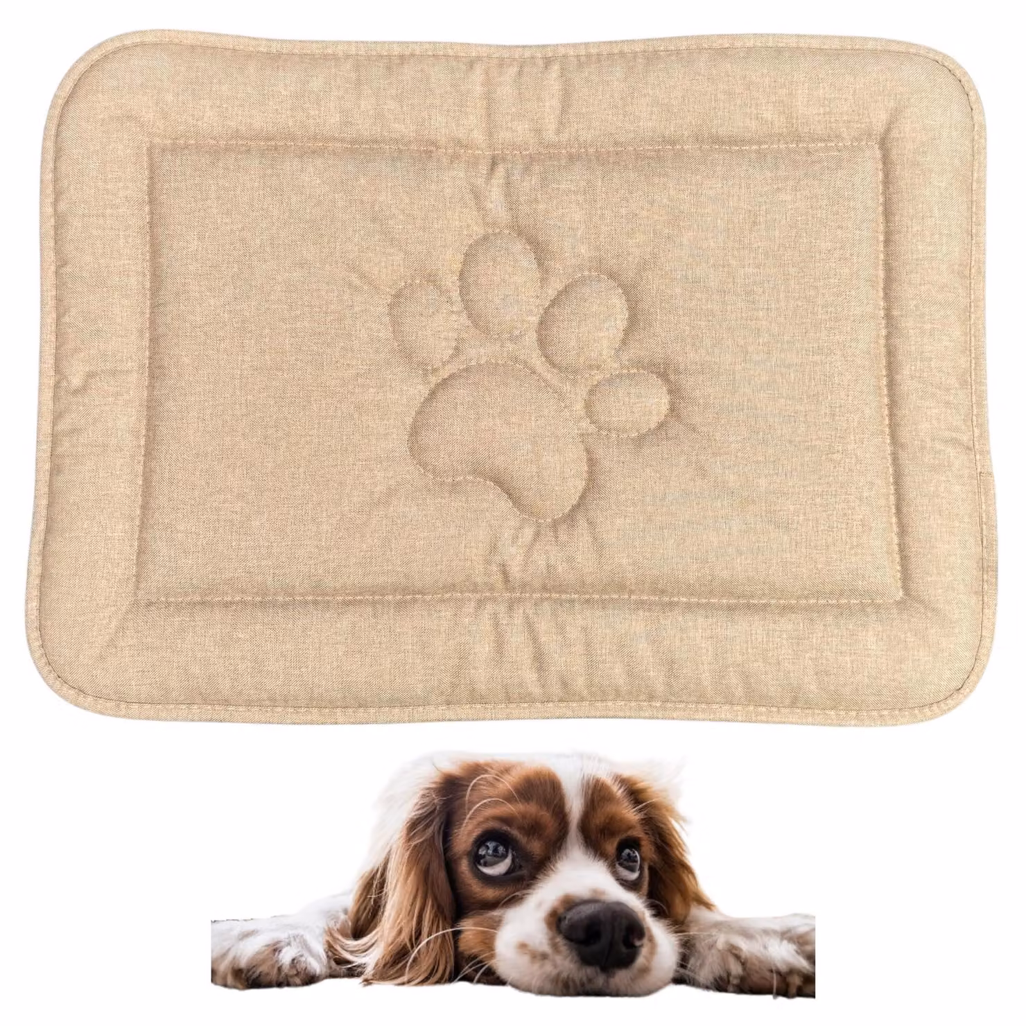 Tappeto per cani DOTTY con motivo a zampa - beige - misura S (60×45 cm) - cuccia lavabile e impermeabile per cani di piccola taglia - antiscivolo e facile da pulire
