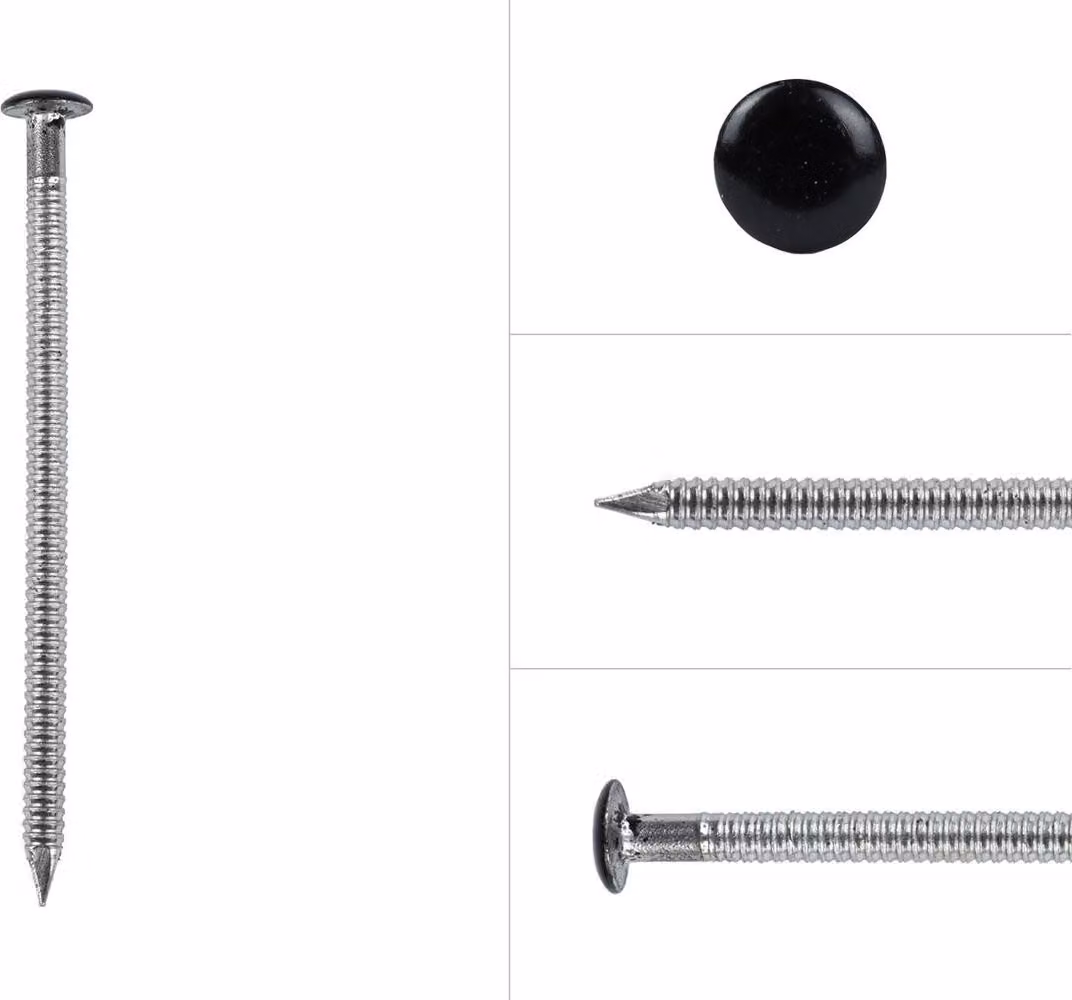 Chiodi a testa sferica con gambo ad anello in acciaio inox A2 nero - 2,5-2,7 x 50 mm - confezione da 200 pezzi