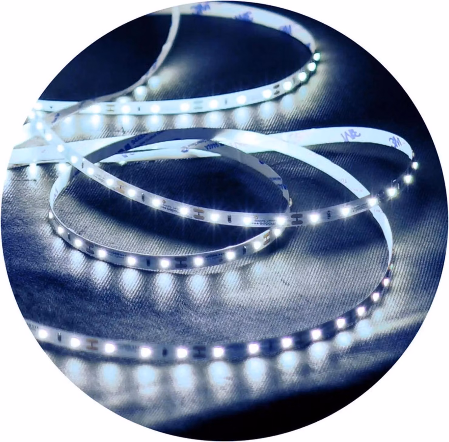 Striscia LED Modee 5 m bianca IP65 6000K