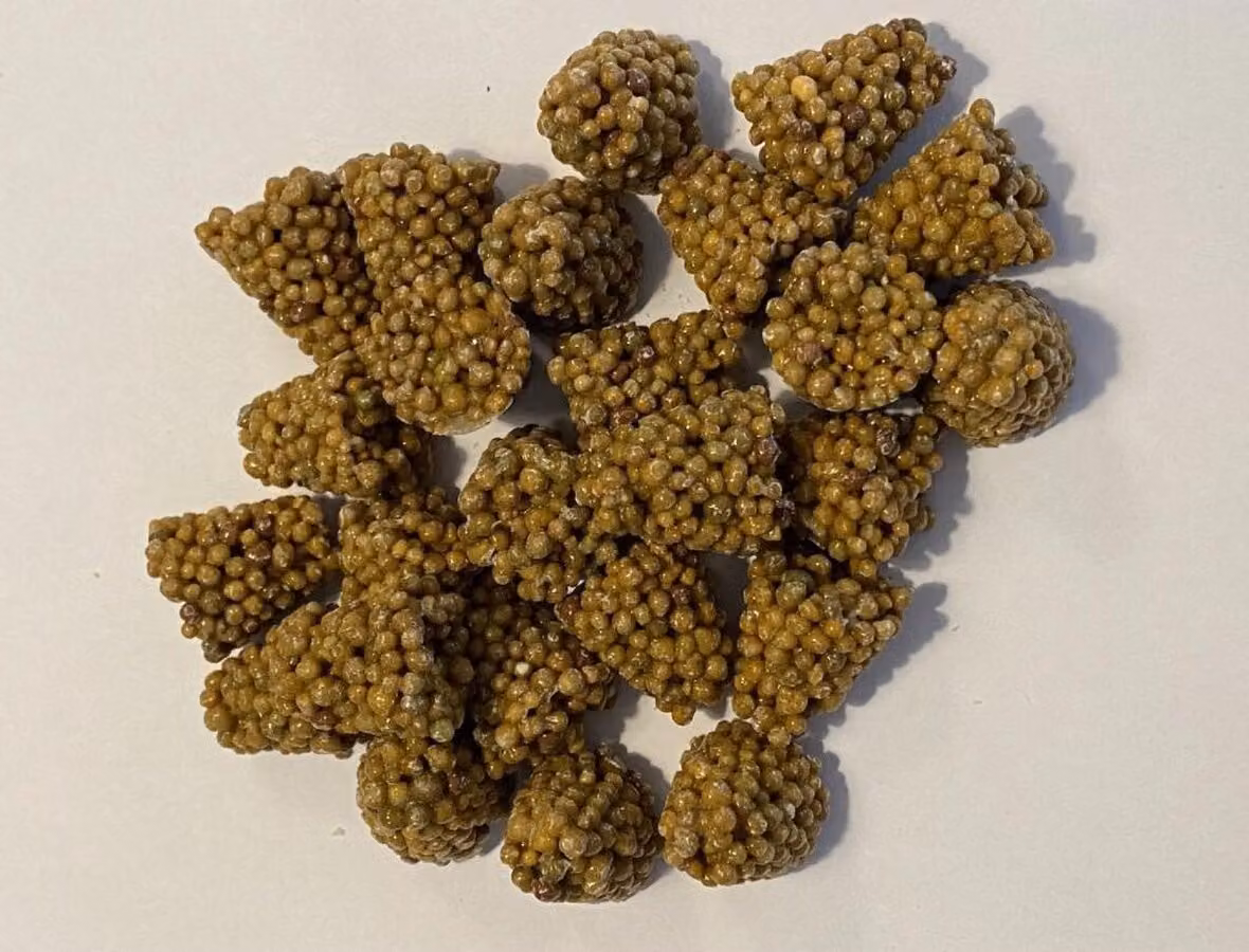Compresse per piante d'appartamento Ferrarium 35 pezzi