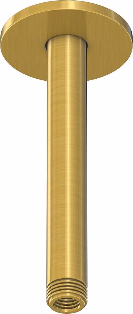 Steinberg Série 100 Bras de douche, montage au plafond, 120mm, rond, 1001571BG, 1001571BG