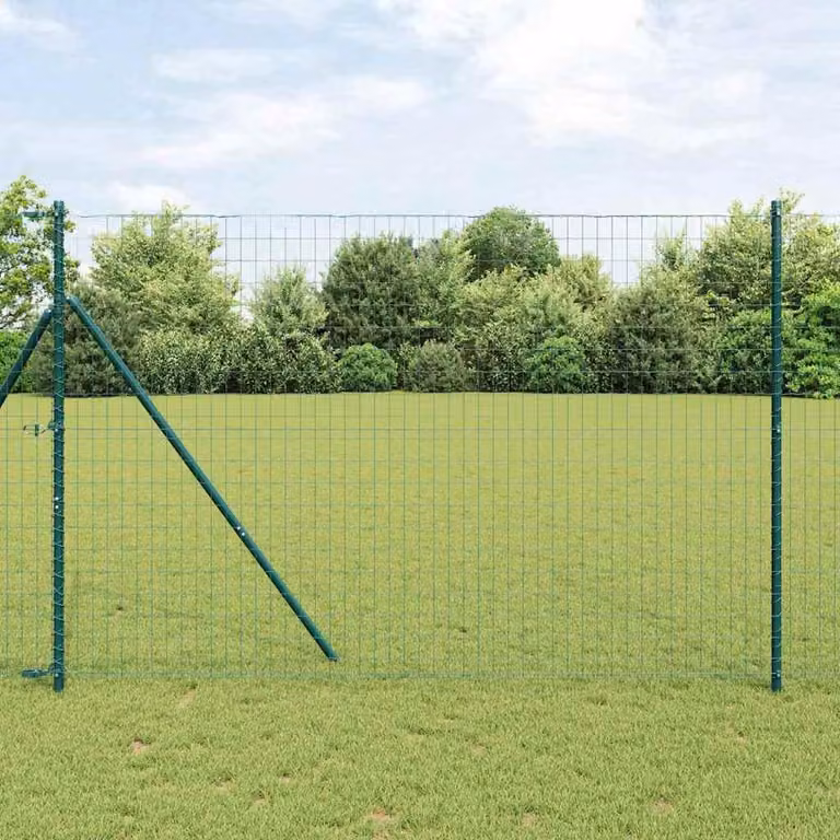 Maison Exclusive - Recinzione in ferro rivestito in PVC, verde, dimensioni 1,6 x 10 metri