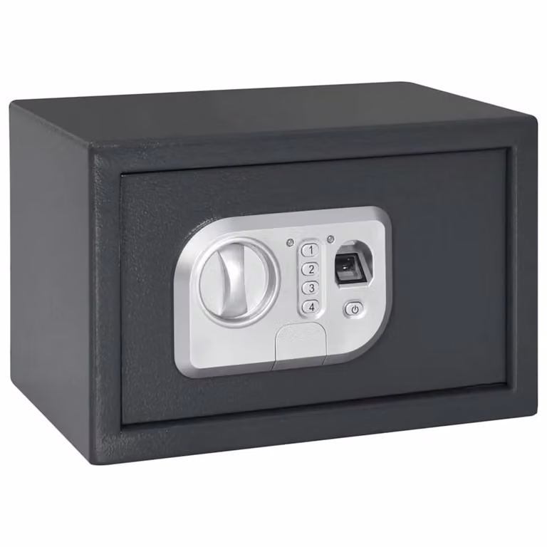 Cassetta di sicurezza digitale vidaXL in acciaio inossidabile, Grigio antracite, L 31 cm x P 20 cm x H 20 cm
