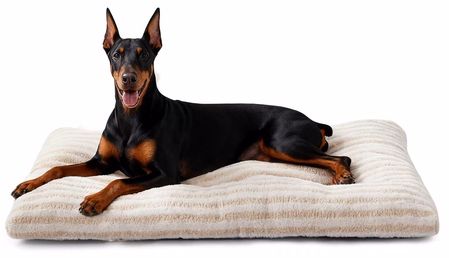 Omgoods - Cuccia per cani XXL, senza fili, adatta a cani di grossa taglia, lavabile e antiscivolo