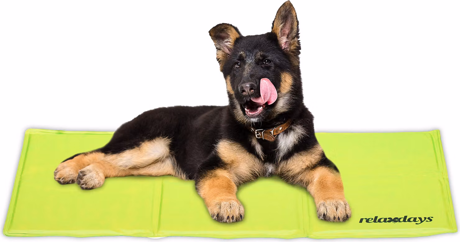 relaxdays Tappeto refrigerante verde per cani