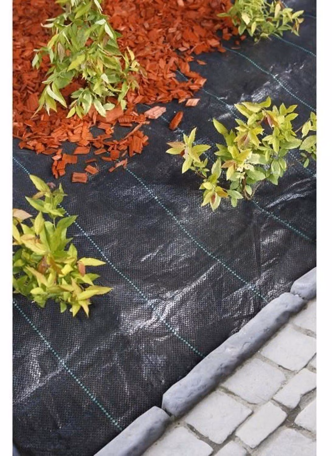 Copertura del suolo nera 3,30x5m 100 g/m2