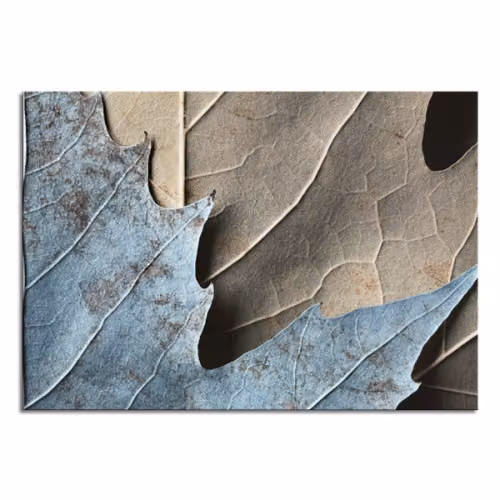 Quadro su tela Dettaglio d'autunno Pintdecor