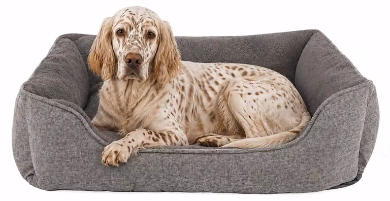 divano per cani lionto, letto moderno per cani con fondo antiscivolo, sfoderabile e interno in peluche, 90x75 cm, grigio