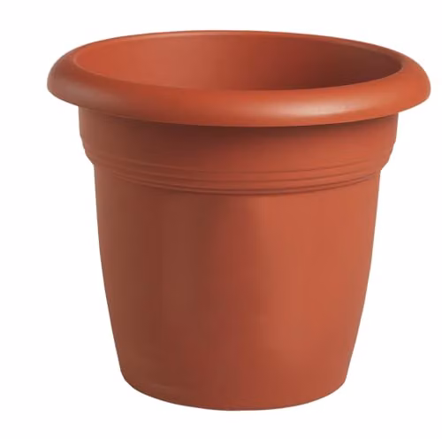 Vaso Med Tondo Coccio 65 H 48,0           Stefanpl