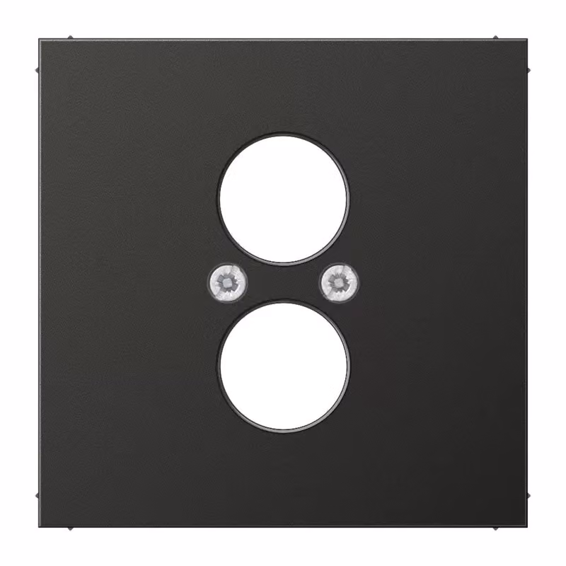 Jung AL2962-2AN Copertura antracite (alluminio verniciato)