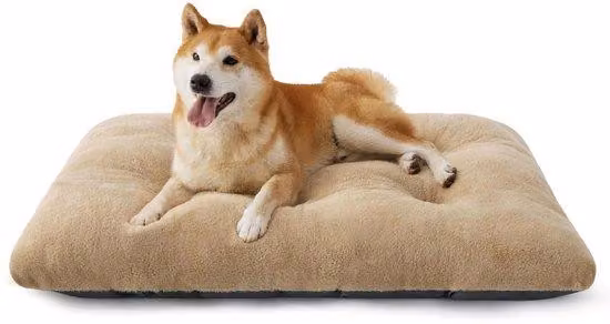 Letto per cani di grandi dimensioni con fondo antiscivolo e cuscino, 89x58x8 cm, color cammello