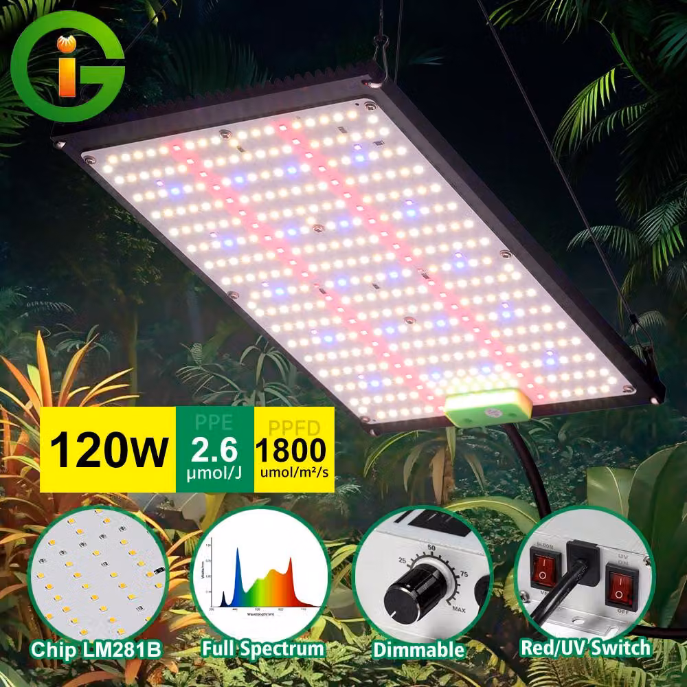 Lampada di coltivazione LED a spettro completo da 240W - 4 modalità di funzionamento - Alloggiamento in alluminio - Adatta per serre idroponiche interne