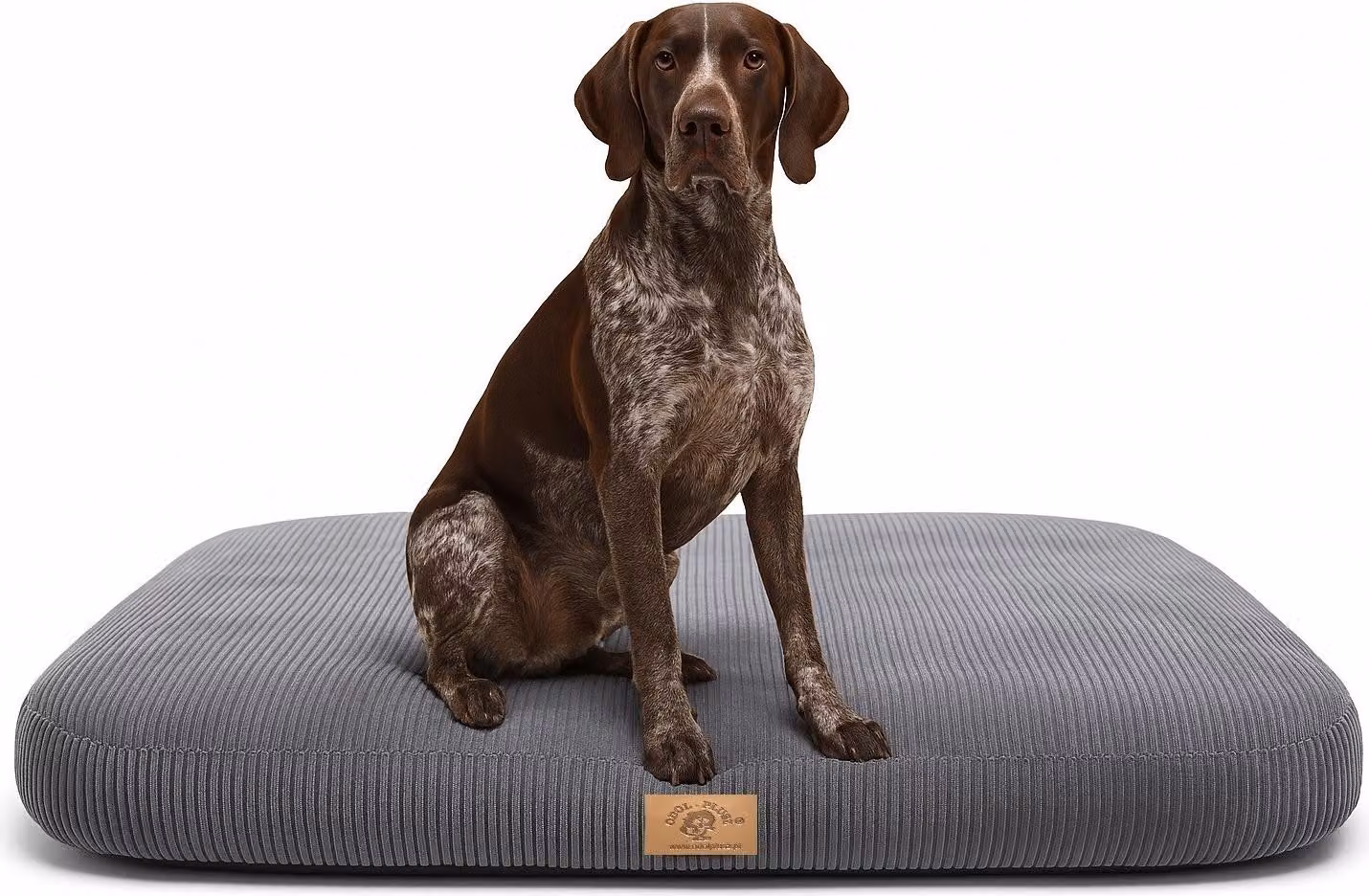 Letto ortopedico per cani Cuscino per cani Divano per gatti 130x75CM