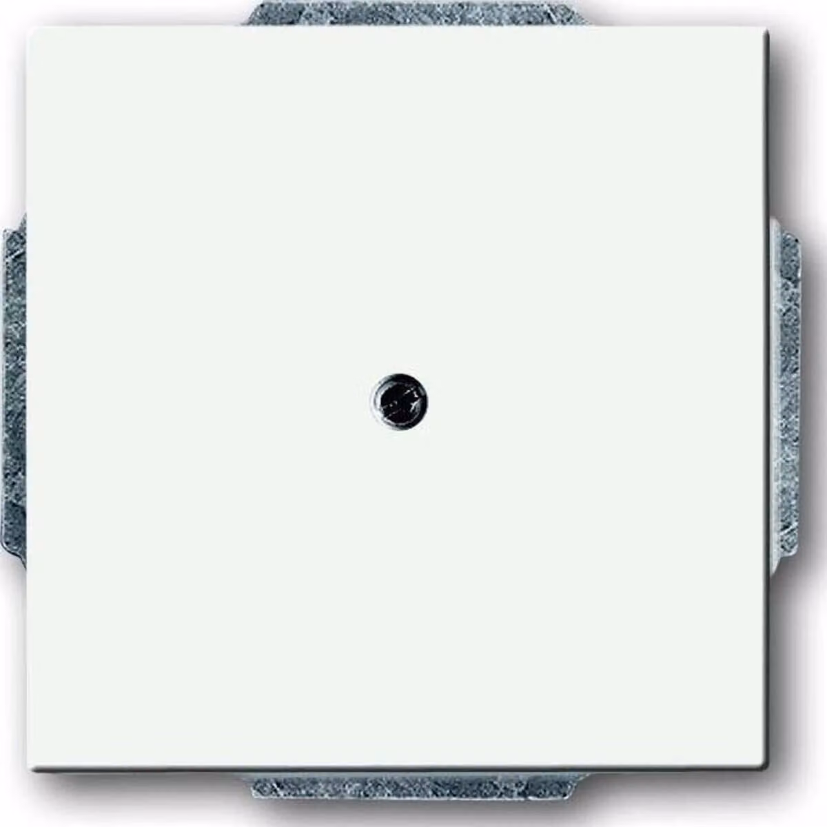 Busch-Jaeger Piastra centrale con copertura cieca con anello di supporto 1742-884