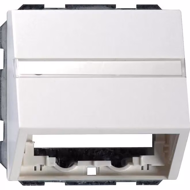 Gira 0870112 Copertura dati BSF con anello di supporto per interruttore a pulsante, bianco puro