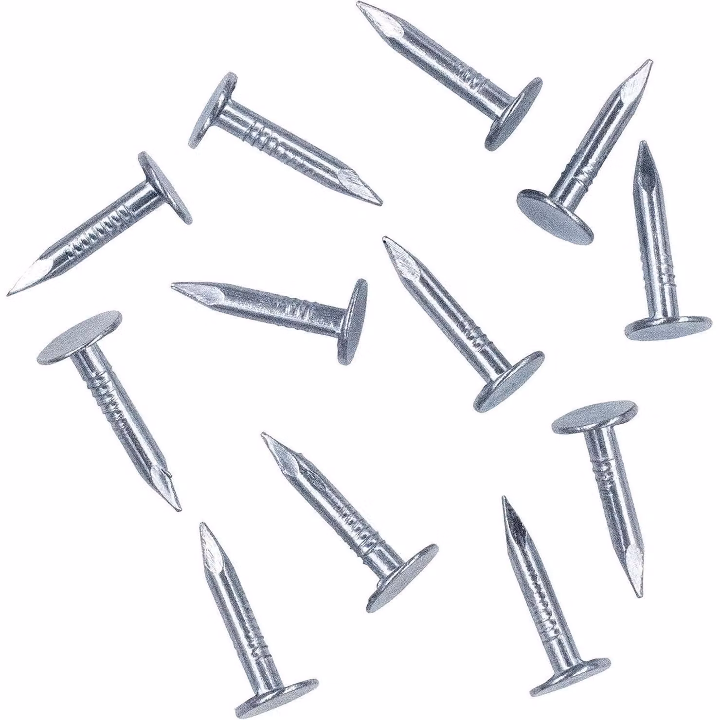 Chiodi per feltro bituminoso, acciaio zincato, testa bombata, 3 x 20 mm, confezione da 280 pezzi