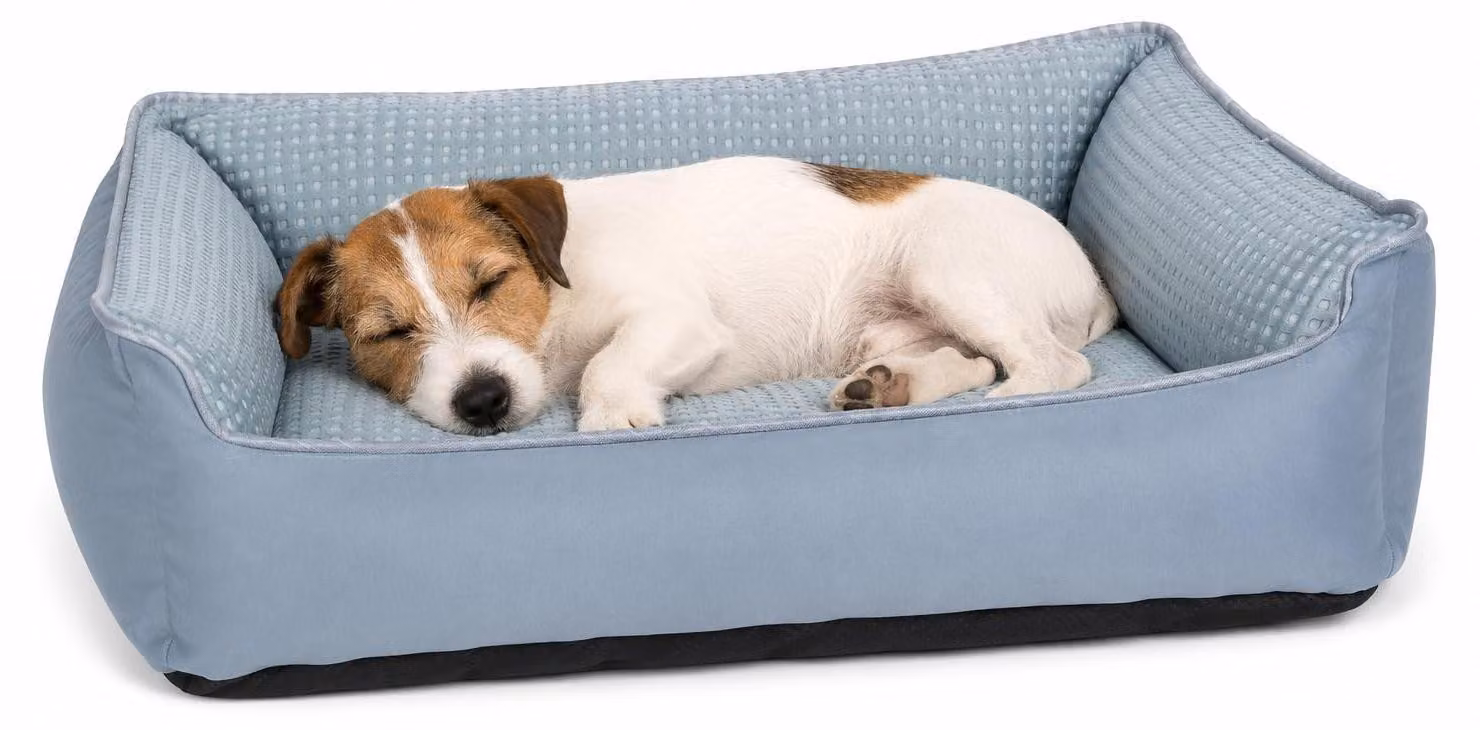 Cuccia per cani Flamingo - lettino per gatti - tappetino refrigerante - cuccia rettangolare per cani, colore blu Varga