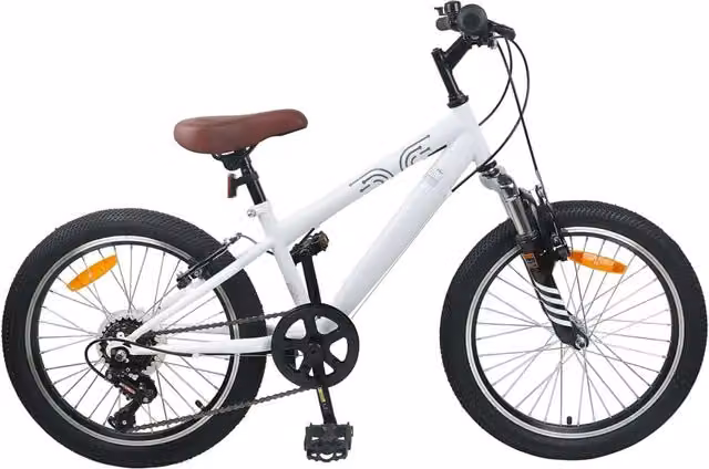 Mountain Bike per Bambini vidaXL da 20 Pollici, Bianca