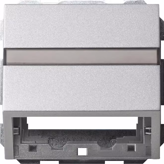 Copertura dati GIRA 087026 BSF+anello di supporto Sistema 55 alluminio (087026)