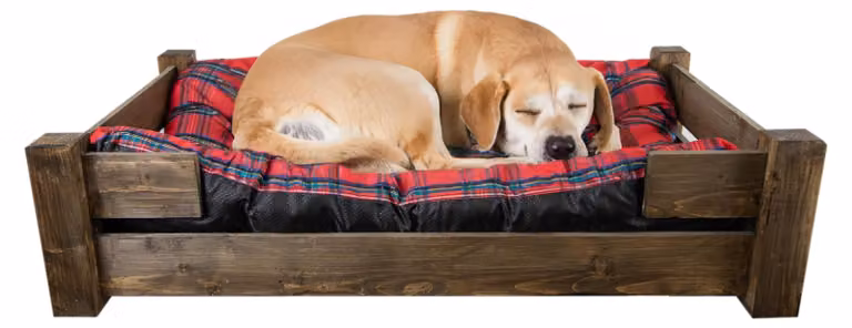 Solidchoice - Ciotola per cani in legno con cuscino, design vintage