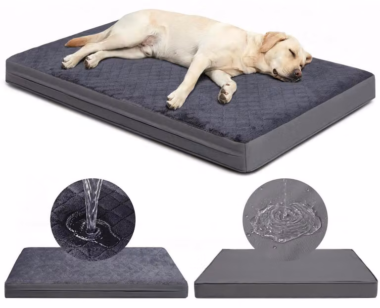 Cuccia ortopedica per cani, 88x55 cm, grigia, impermeabile, con rivestimento removibile e lavabile in lavatrice