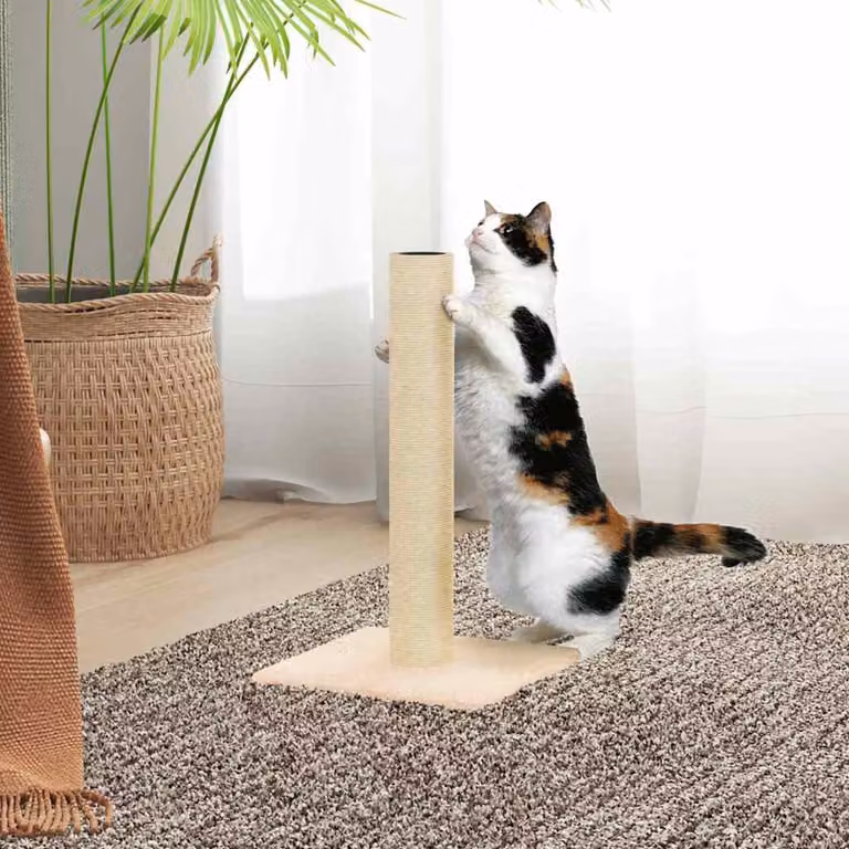 Palo tiragraffi per gatti vidaXL in sisal e legno, colore beige, L/P/H: 22 x 22 x 45 cm
