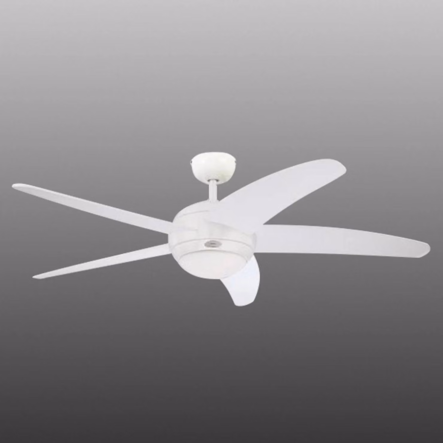 Westinghouse Bendan - Ventilatore a cinque pale, bianco, Bianco / Opale, Soggiorno / Sala da pranzo, Legno, Moderno