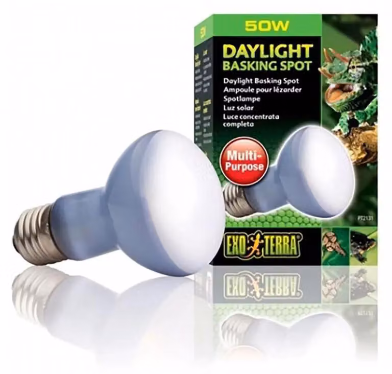 Lampadina EXO TERRA Daylight Basking Spot 50 W