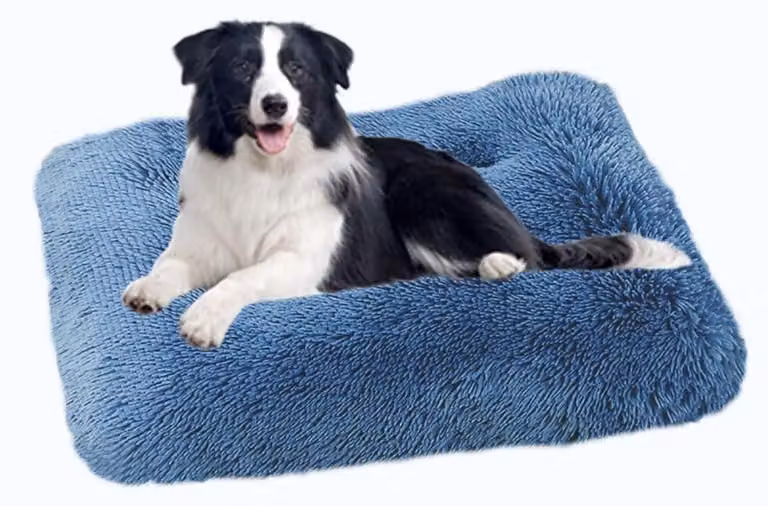 Cuccia ortopedica per cani, morbida, lavabile e antiscivolo, dimensioni 122x83 cm, colore blu