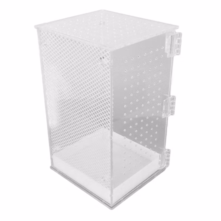 Serbatoio terrario per rettili, box per tarantole, box acrilico per rettili, serbatoio acrilico per rettili, serbatoio habitat per paludari, serbatoio per rettili