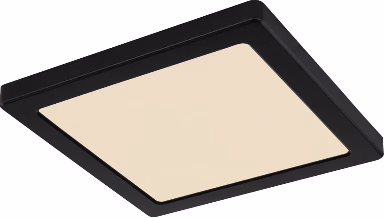 LED 18W LASSE Plafond 12380-18B Globo