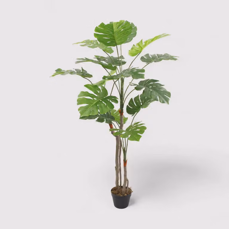 Merah - Finta monstera ornamentale e realistica H 155 cm