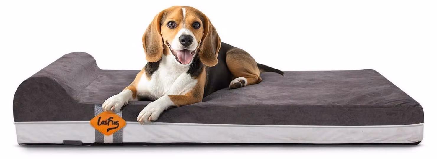 Cuccia ortopedica per cani, in memory foam, colore grigio, dimensioni 101x63x15 cm
