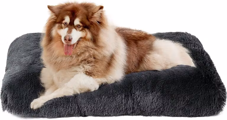 Cuccia per cani, taglia XXL, grande, cuscino antistress per cani, lavabile e antiscivolo, cuccia per cani in morbido peluche, color grigio scuro, dimensioni 120 x 90 cm