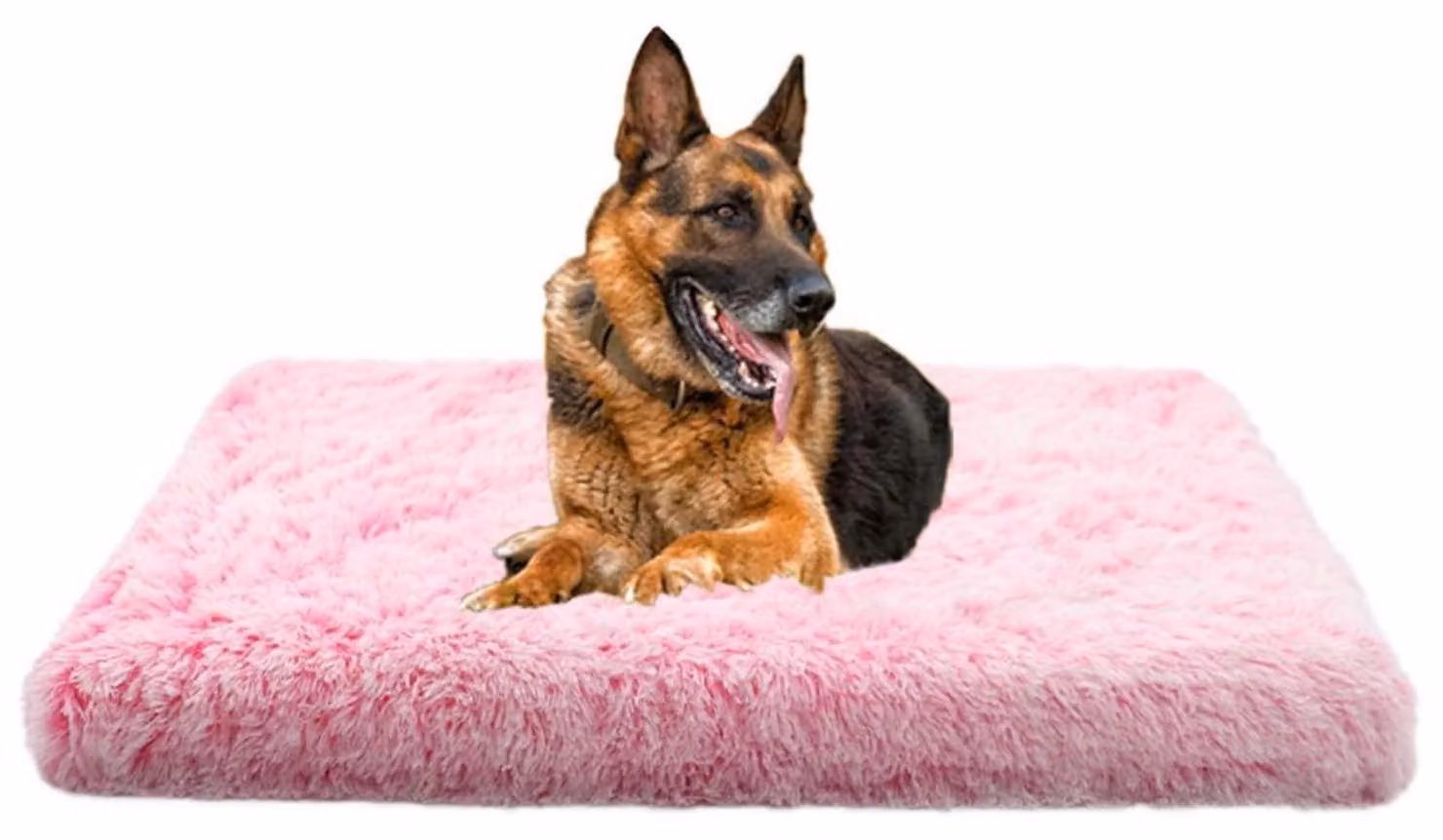 Cuccia per cani morbida e confortevole con memory foam, cuscino ortopedico per cani, lavabile, antiscivolo, colore rosa, dimensioni 50x40 cm