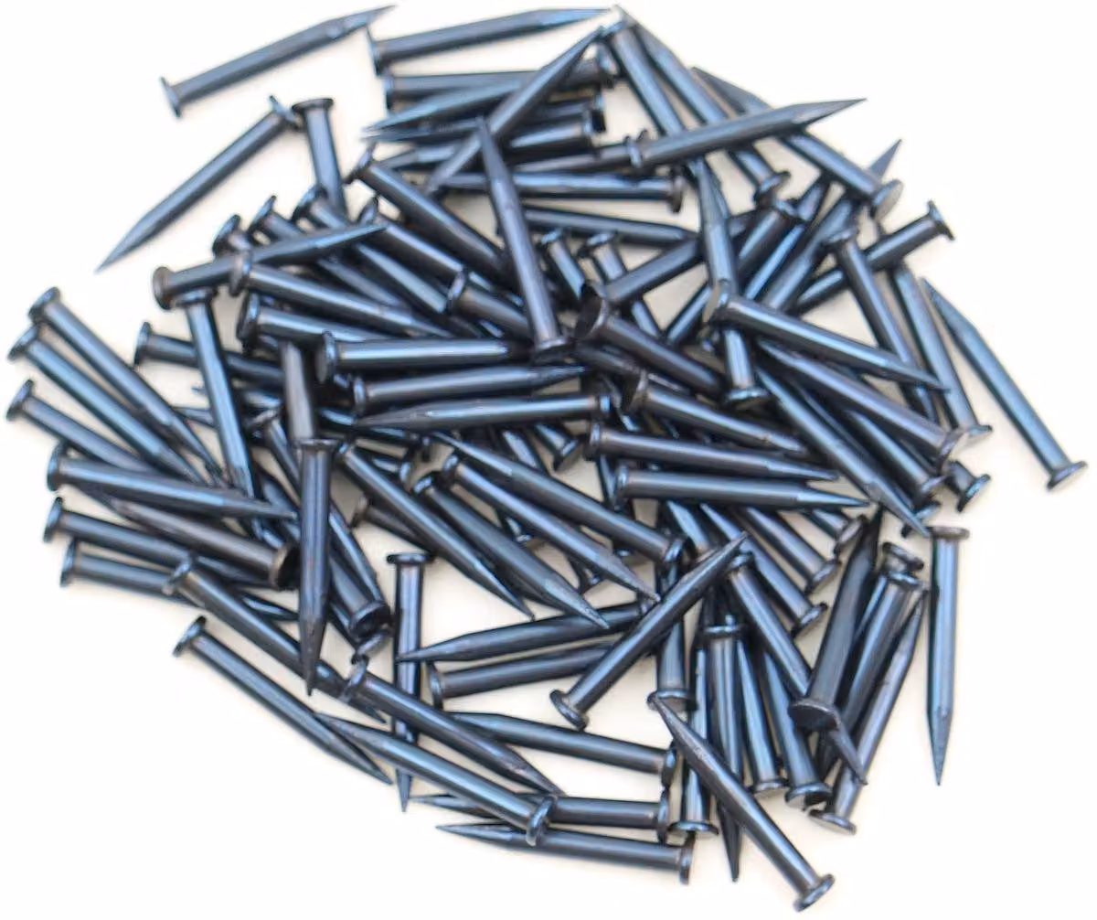Chiodi in acciaio 100 pezzi, dimensioni 1,2 x 10 mm, punta affilata, testa piatta, colore blu