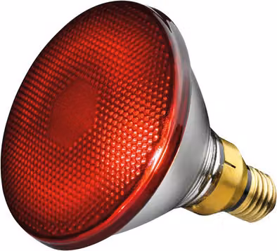 Beurer IL21 Lampadina di ricambio da 150 Watt per lampade a infrarossi