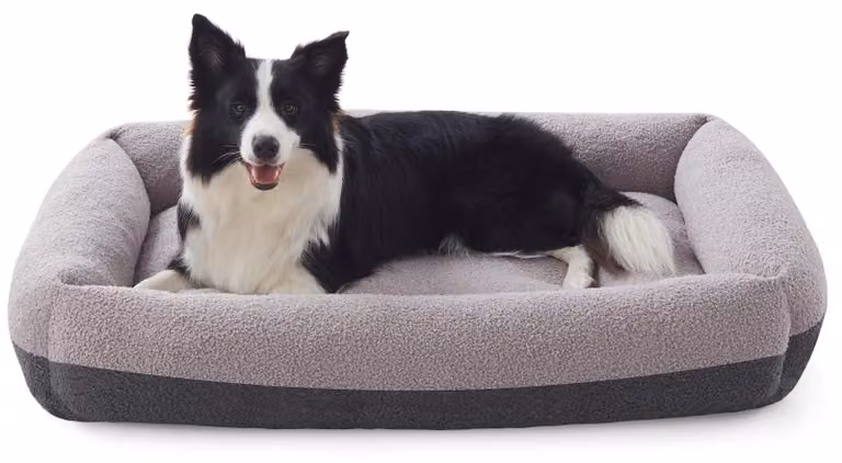 Cuccia per cani di taglia media, lavabile, con coperta rimovibile