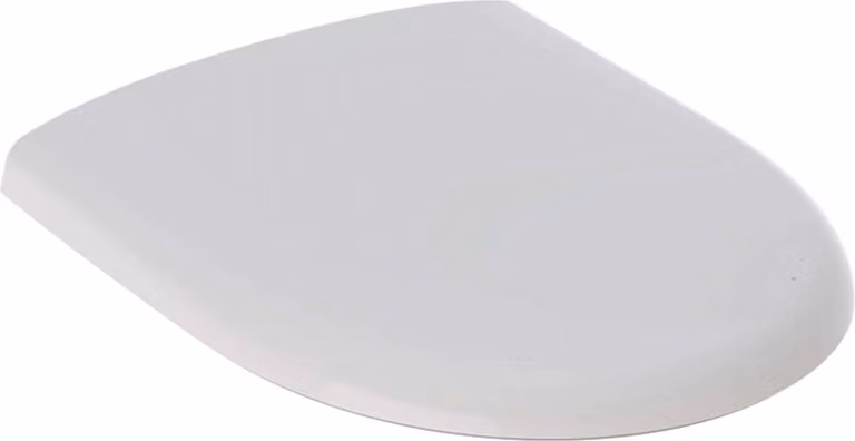 Geberit WC-Sitz Renova mit Deckel Scharniere Edelstahl weiß
